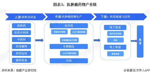 預(yù)見(jiàn)2024 2024年中國(guó)抗腫瘤藥物行業(yè)全景圖譜 附市場(chǎng)規(guī)模 競(jìng)爭(zhēng)格局和發(fā)展前景等